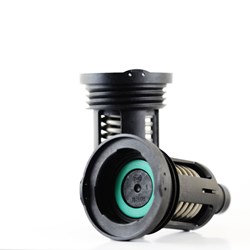 THC Edited Image 16.jpg