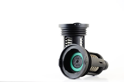 THC Edited Image 16.jpg