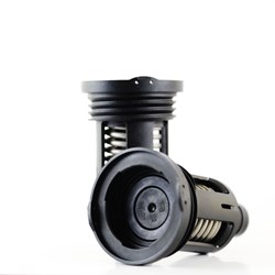 THC Edited Image 17.jpg