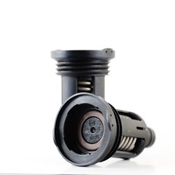 THC Edited Image 18.jpg